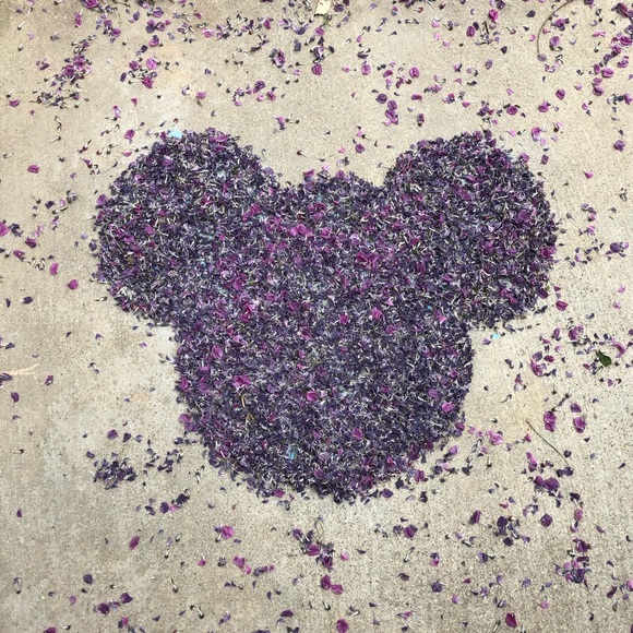 Meet your Posher, Becky - Picture 1 of 1